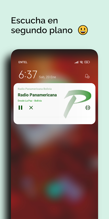 Radio Panamericana Bolivia Screenshot4