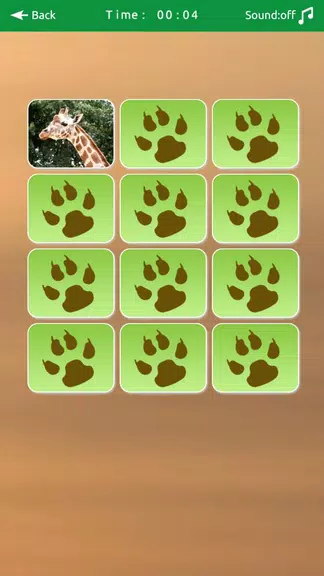 Wild Animals Memory Game Screenshot3