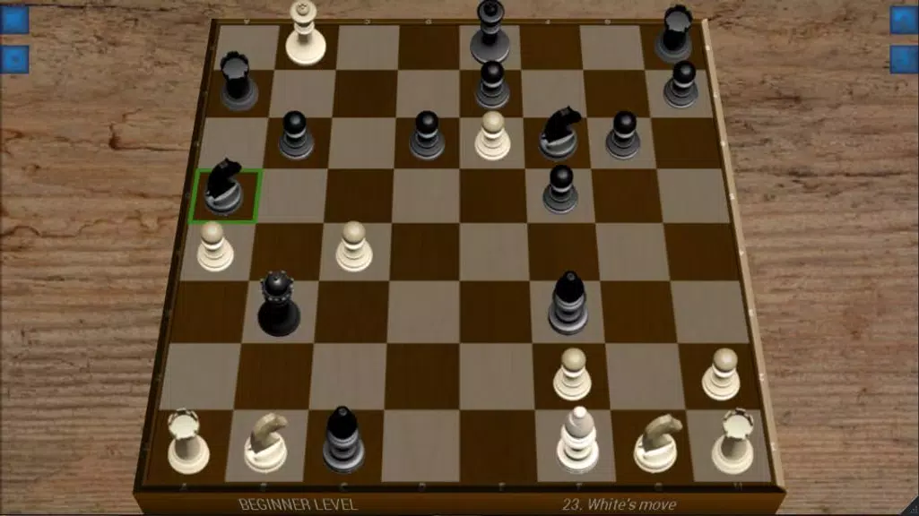 Chess Pro (Echecs) Screenshot3