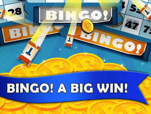 Bingo Fever Screenshot1