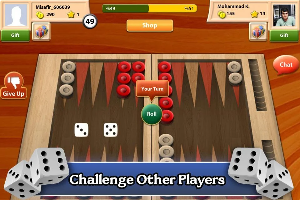 Maxi Backgammon Screenshot2