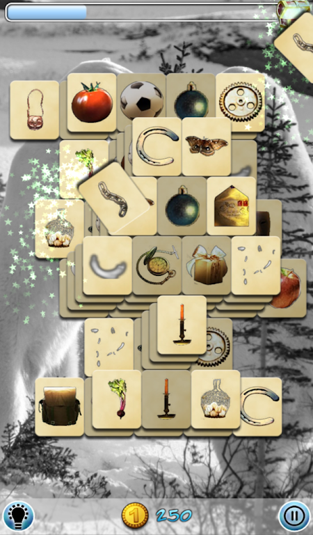 Hidden Mahjong: Polar Bears 2 Screenshot2