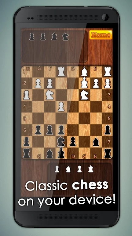 Chess Master King 2D Screenshot1