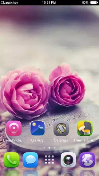 Pink Roses Theme C Launcher Screenshot3