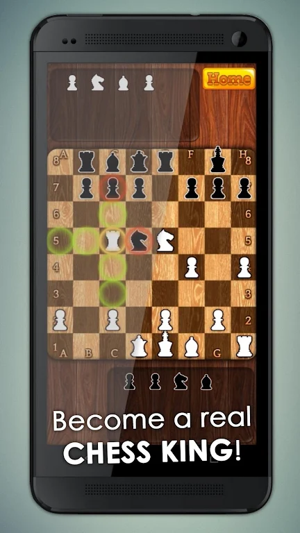 Chess Master King 2D Screenshot3