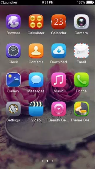 Pink Roses Theme C Launcher Screenshot2