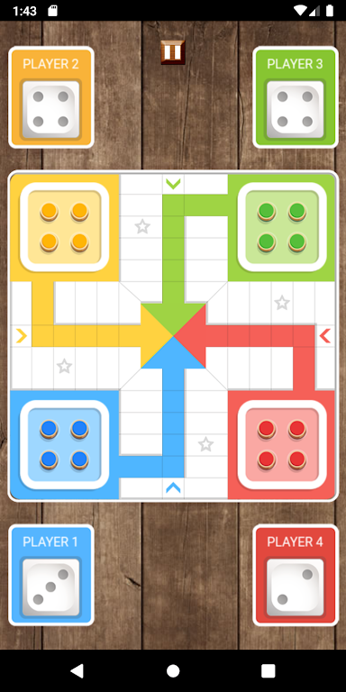 Ludo Smart King Board Game with AI Screenshot2