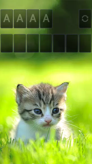 Solitaire Little Cat Theme Screenshot2