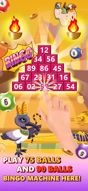 Bingo Zap Screenshot2