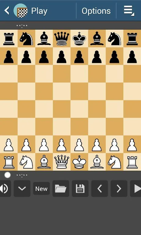 Chess Screenshot1