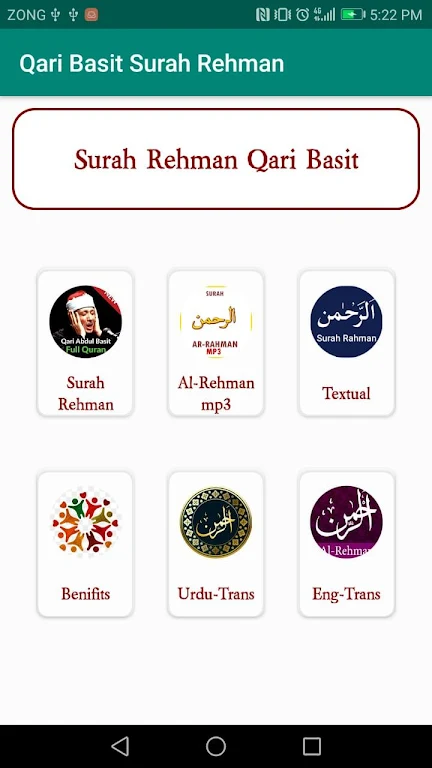 Qari Basit Surah Rehman Screenshot4