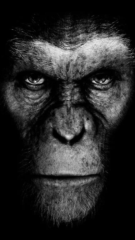 Planet of the Apes Wallpapers Screenshot2