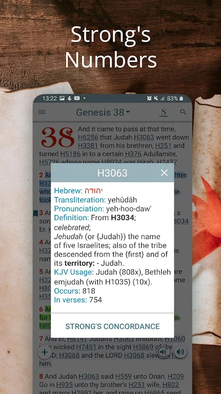 Bible Concordance & Strongs Screenshot3