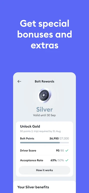 Bolt Driver: Drive & Earn Screenshot2