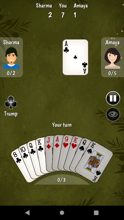 325 Card Game Screenshot4