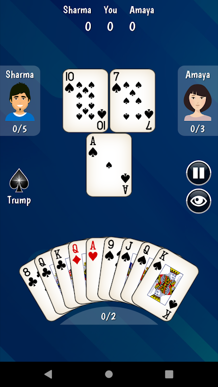 325 Card Game Screenshot3