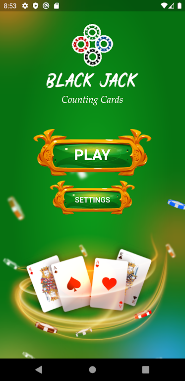 Blackjack Counting Cards Screenshot3