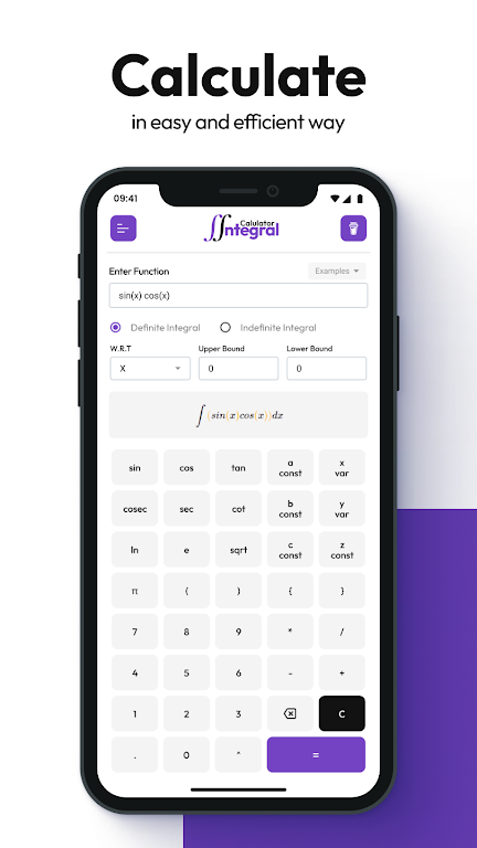 Double Integral Calculator Screenshot2