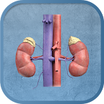 Adrenal Adenoma Calculator APK