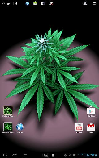 My Ganja Plant Live Wallpaper Screenshot2