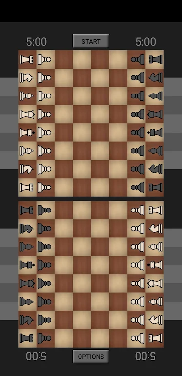 Bughouse Chess Screenshot2