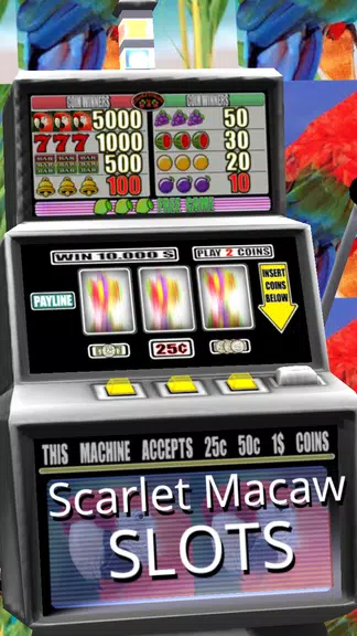 Scarlet Macaw Slots - Free Screenshot3