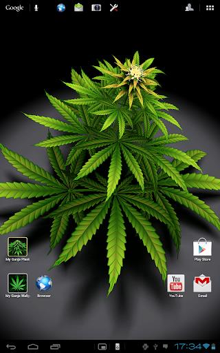 My Ganja Plant Live Wallpaper Screenshot3