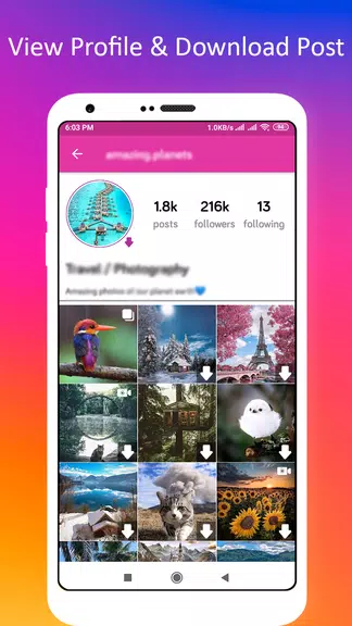 Profile Picture Downloader for Instagram Screenshot2