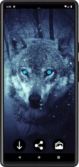 Wolf Wallpapers Screenshot3