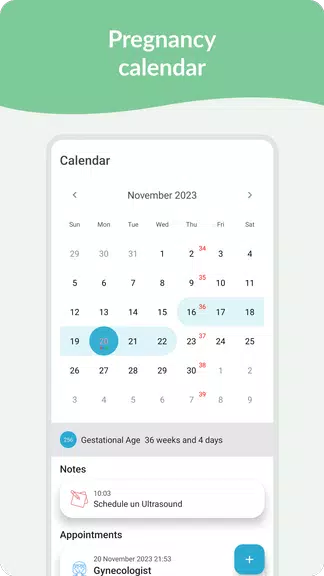 Pregnancy Tracker & Day by Day Screenshot2