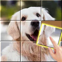 Jigsaw Sort: Art Puzzle · Kids APK