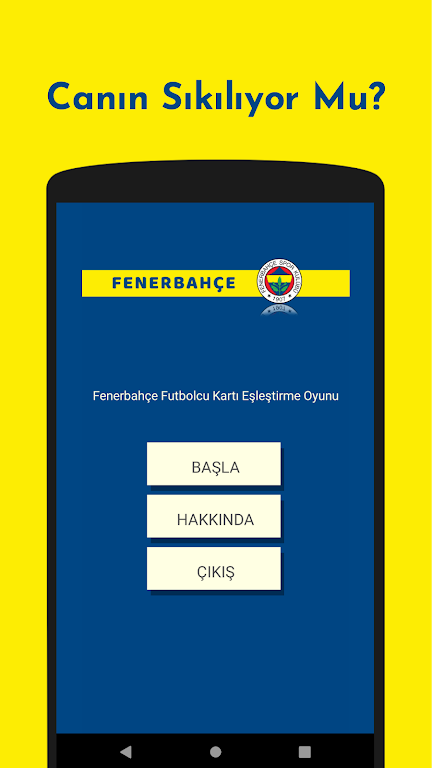 Fenerbahçe Futbolcu Kart Eşleştirme Oyunu Screenshot1