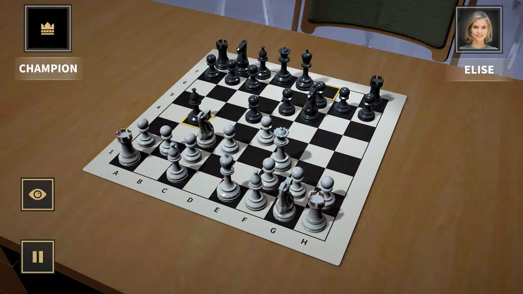 Champion Chess Screenshot3