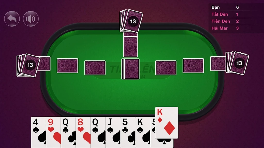 Souther Poker: TLMN Screenshot2