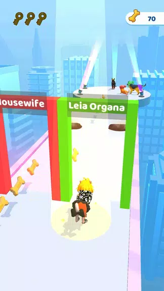 Groomer run 3D Screenshot4