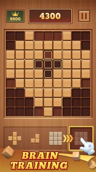 Wood Block 99 - Sudoku Puzzle Screenshot2