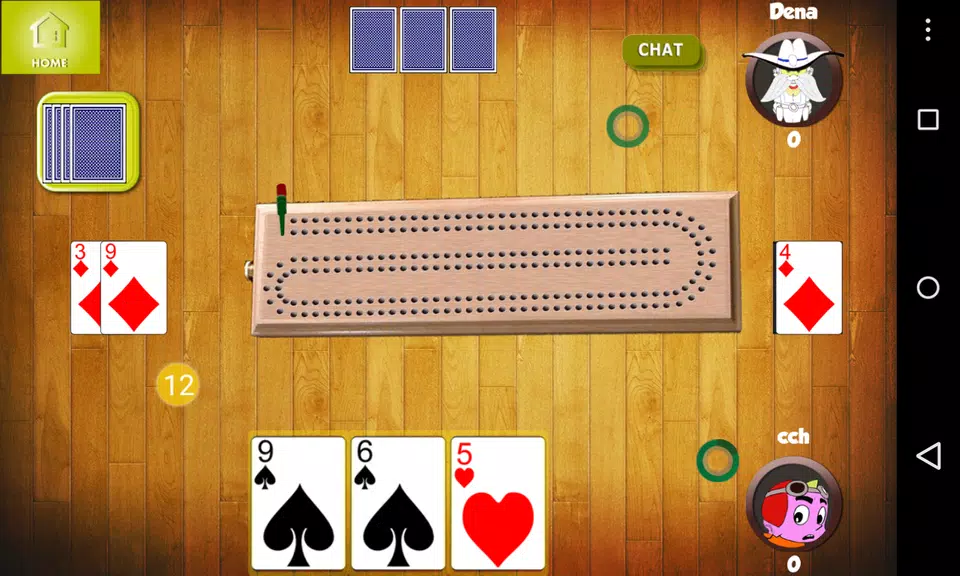 Cribbage Friends Screenshot1