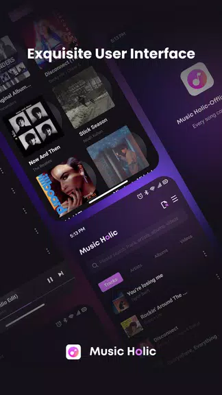 Music Holic-Offline Music Screenshot3