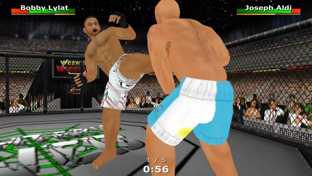 Weekend Warriors MMA Screenshot1