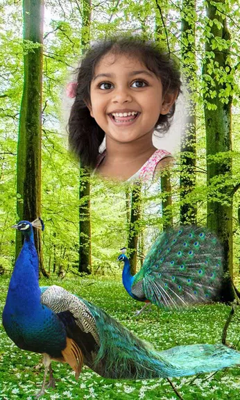 Peacock Photo Frames HD Screenshot3