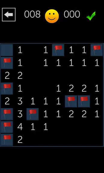 Minesweeper Fun Screenshot1