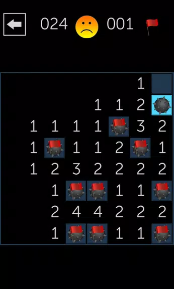 Minesweeper Fun Screenshot2