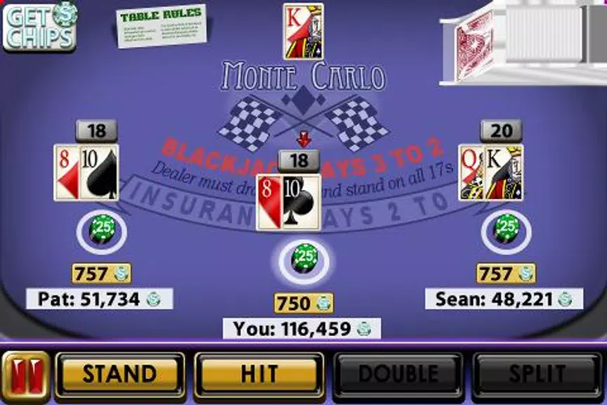 Big Win Blackjack™ Screenshot1