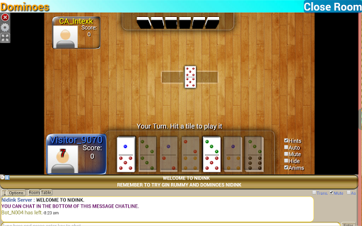 Dominoes Nidink Screenshot2