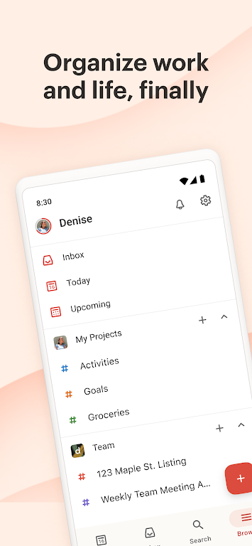 Todoist Screenshot1