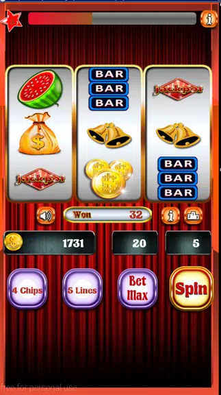 Casino slots machine Free Screenshot3