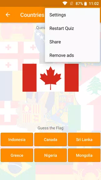 World Flags & Emblems: Quiz Screenshot3