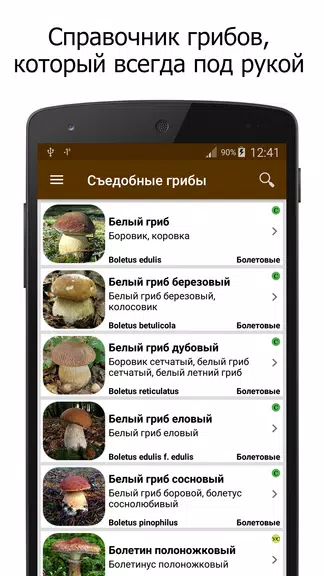 Грибы Screenshot1