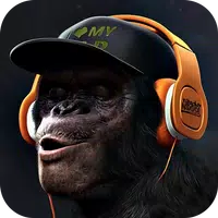 Gorilla Monkey Live Wallpaper APK