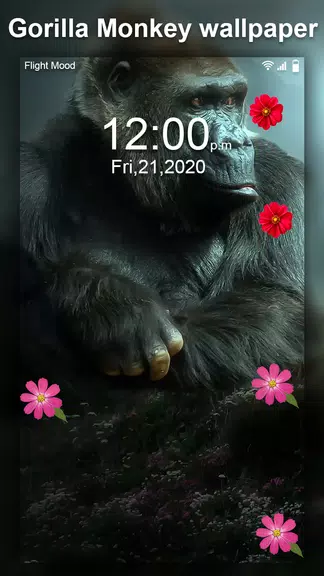 Gorilla Monkey Live Wallpaper Screenshot3